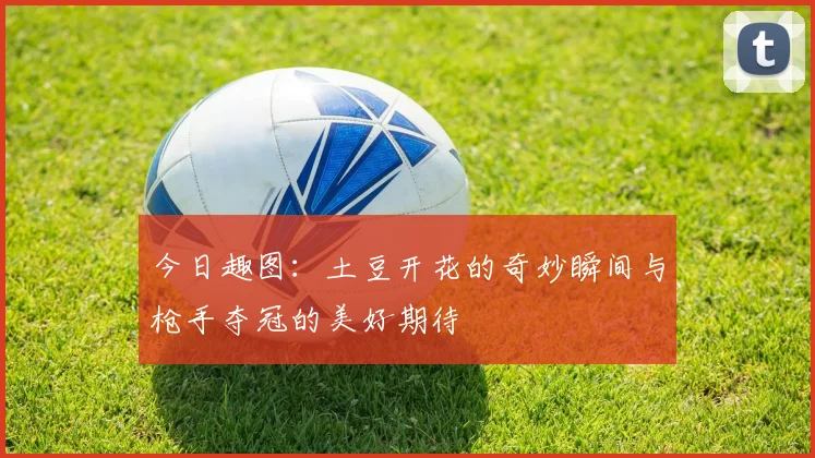 今日趣图：土豆开花的奇妙瞬间与枪手夺冠的美好期待
